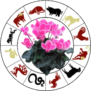 Flower by horoscope