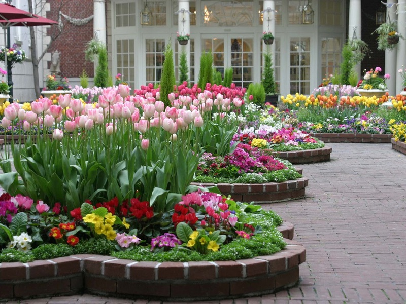 Flower bed decoration with primroses