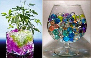 How to plant a flower in a hydrogel