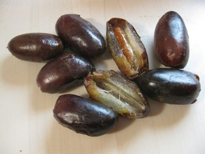 Fresh dates may not just be a treat, but also the best seeds for your home palm.