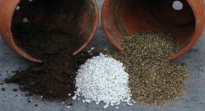 Features of the use of perlite with other components of soil for plants