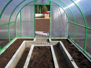 Greenhouse construction