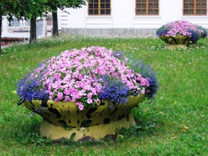 Petunias on a raised flower bed - a stylish solution