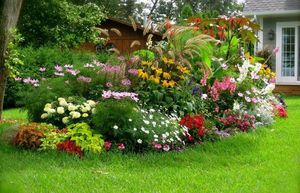 Mixborder of perennial plants shown in the photo