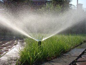 Sprinkler irrigation system design