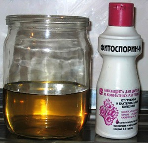 Fitosporin-M - packaged and ready-to-use solution.