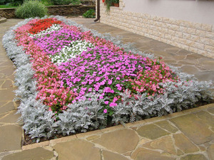 Features of the device and design of flower beds