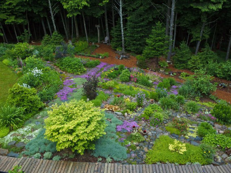 Ground cover plants will help create a very beautiful flower bed.