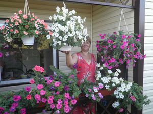 How to properly care for ampelous petunia