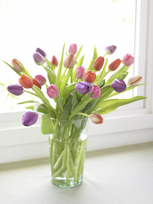 How can you save cut tulips at home?