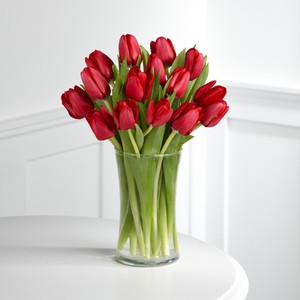 Cut tulips in water