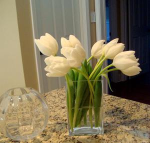 How to cut tulips correctly