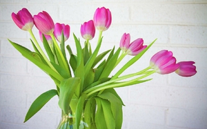 Bouquet of tulips in a vase on the table