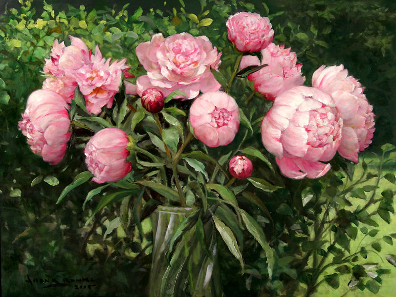 Peony flower appearance