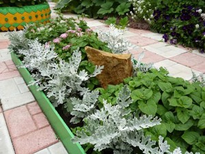 Sowing a flower with seeds