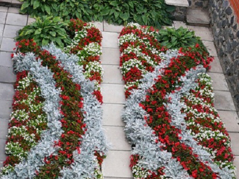 Watering and plant formation