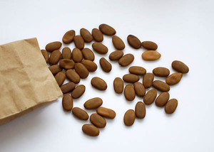 Seeds