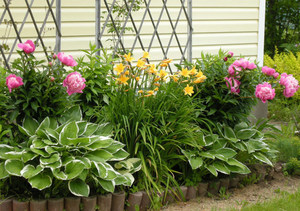 A flower bed of their perennials