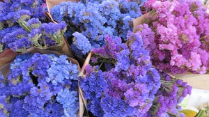 Modern arrangements of dried flowers