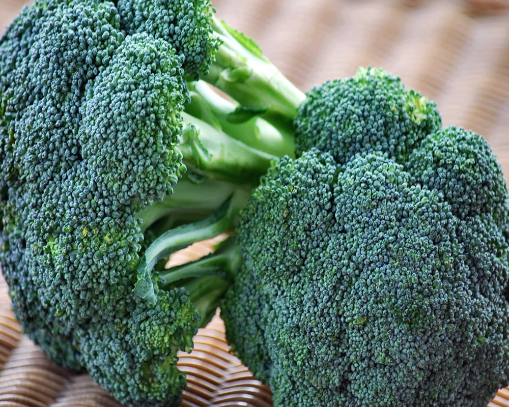 When is it better to sow broccoli for seedlings and plant in open ground