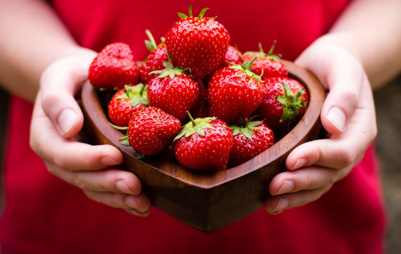 Strawberry varieties and hybrids - from popular to exotic