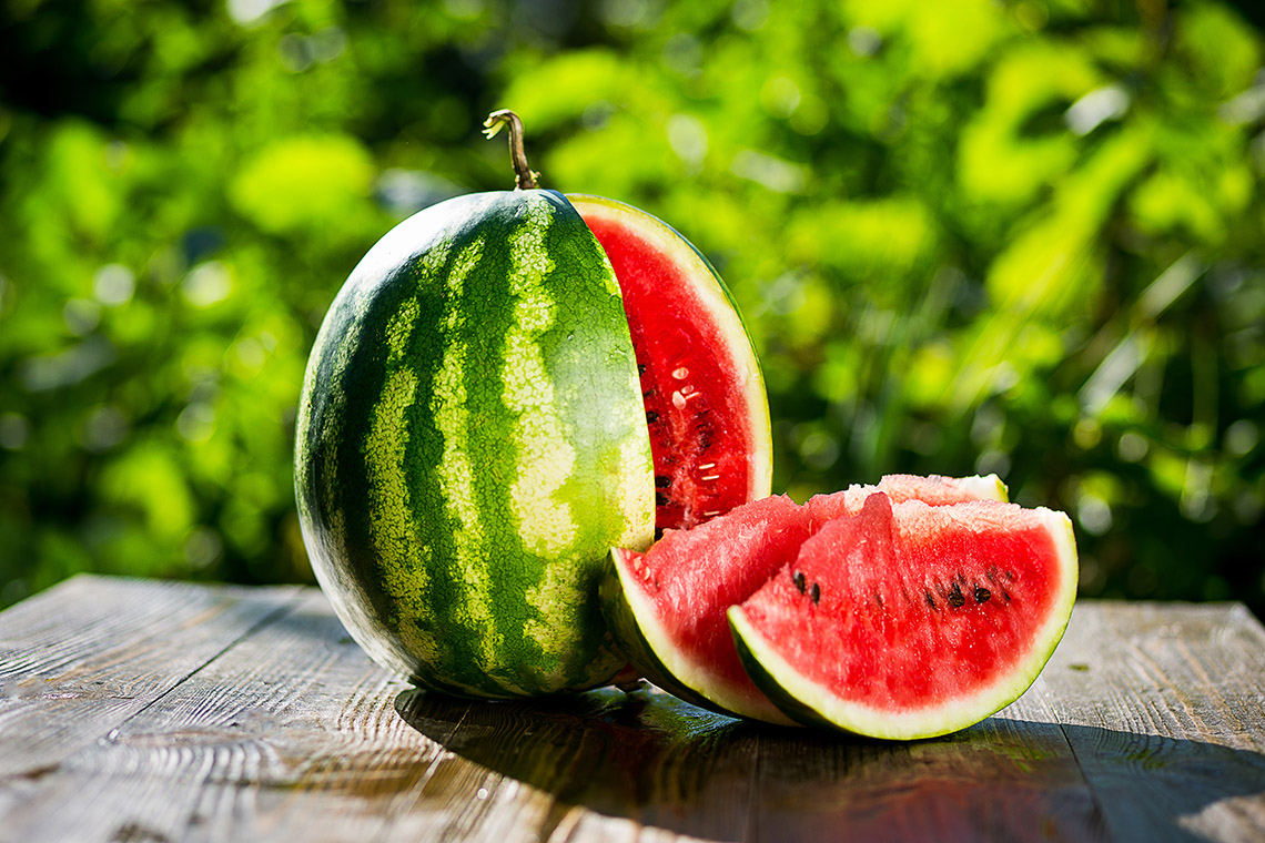 Watermelon in the middle lane: how to grow this sweet juicy berry without a greenhouse