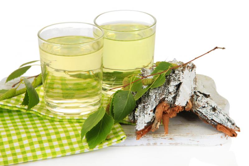 The benefits and harms of birch sap for the body