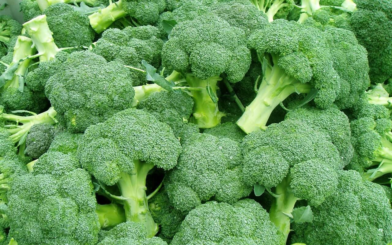 Growing broccoli cabbage: varieties, photos