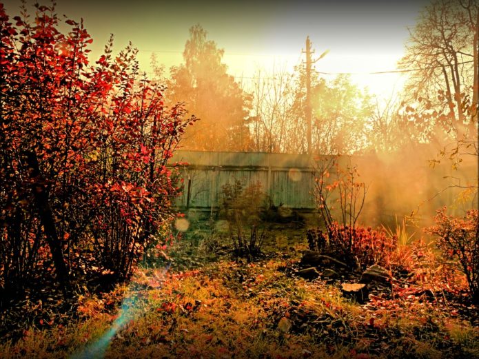 Summer cottage in autumn