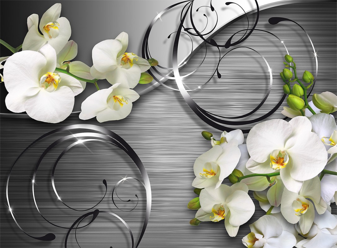 White orchid: photo and description