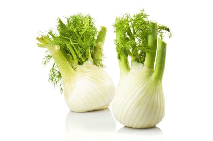 fennel