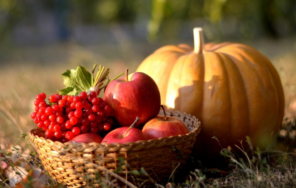 Viburnum with apples and pumpkin