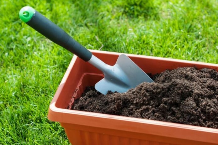 Potted flower container, compost and spatula