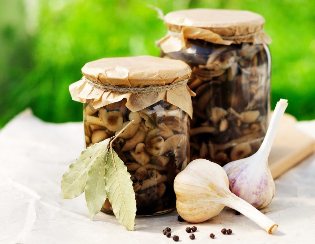 Canned mushrooms in a jar, garlic and peppercorns