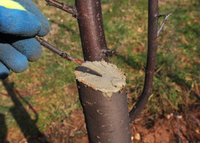 Cutting on wood