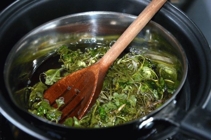 Celandine decoction