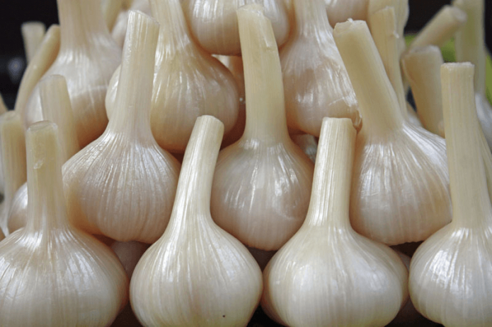 Paraffin-treated garlic heads