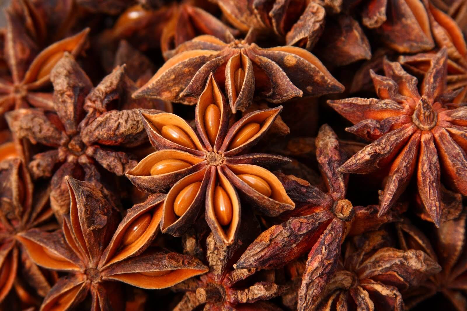 Star anise and anise in cooking and medicine - what's the difference?