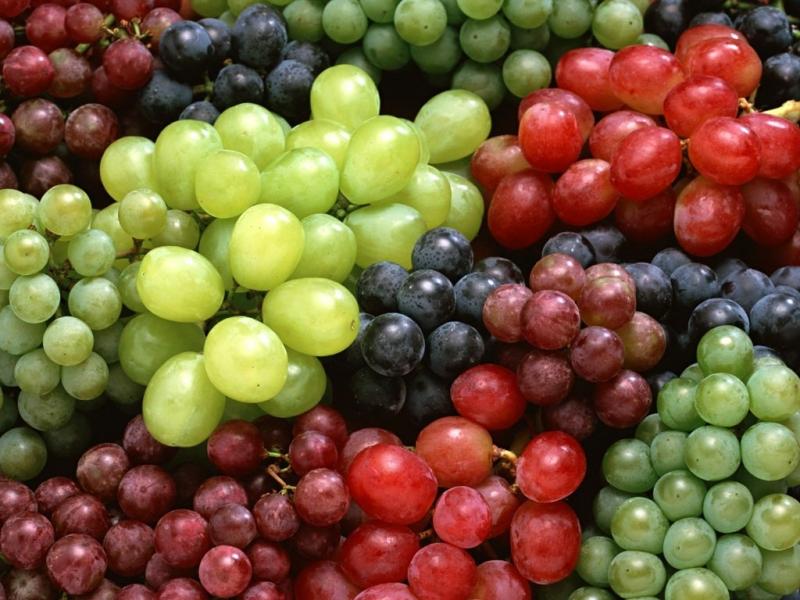 feeding grapes