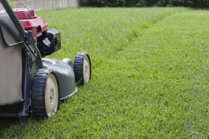 Lawn mowing