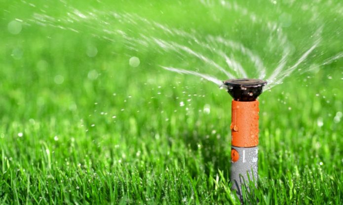 Watering the lawn