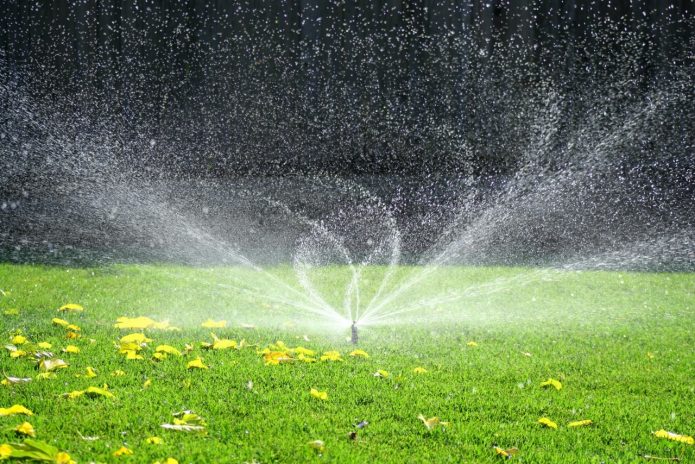 Watering the lawn with a sprinkler