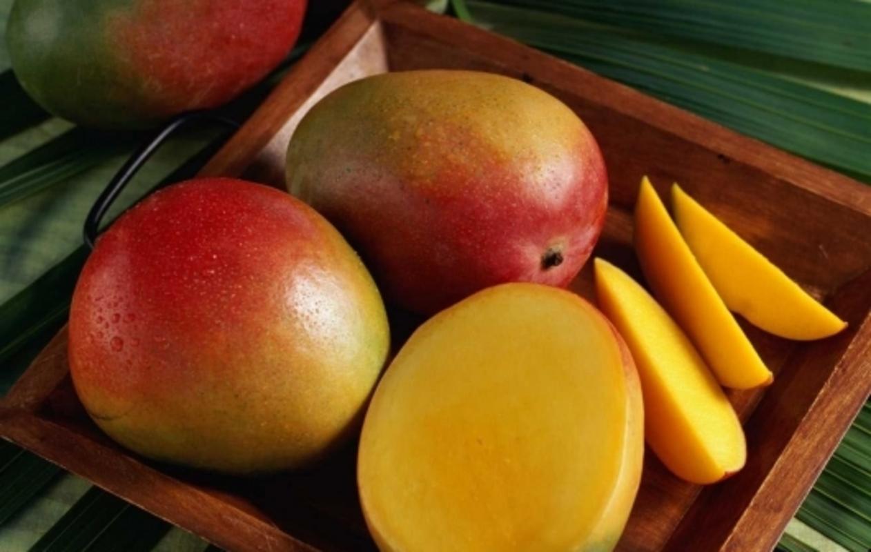 Mango: a description of the popular varieties of the king of fruits