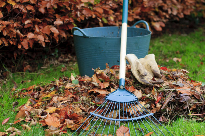 Autumn garden work