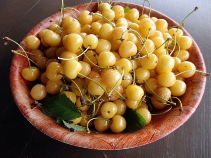 Chetmashnaya cherry fruits in a bowl