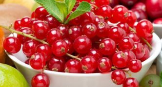 Red currant