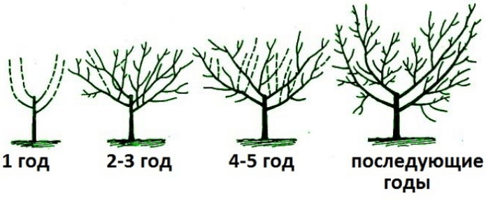 Pruning cherries on the diagram