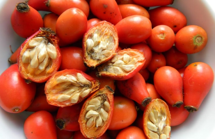 Rosehip propagation by seeds