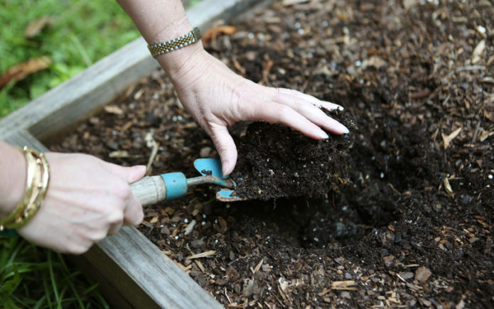 Digging the soil substrate