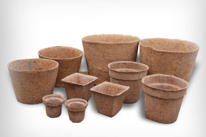 Peat pots